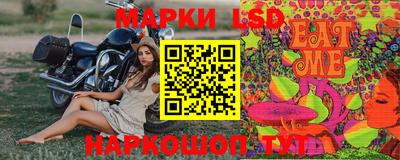 СК Гудермес