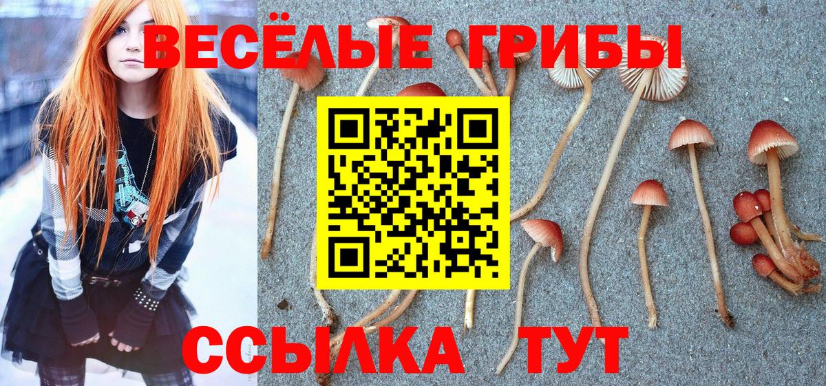 где найти   Вход с VPN  Гай  Галлюциногенные грибы Magic Shrooms 