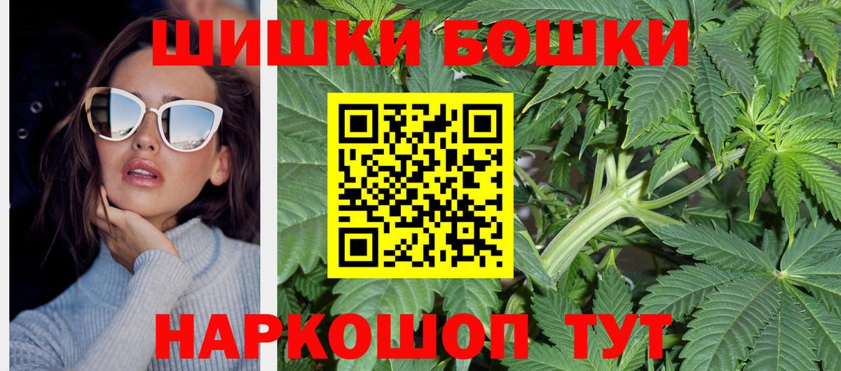 МАРИХУАНА сатива Гай